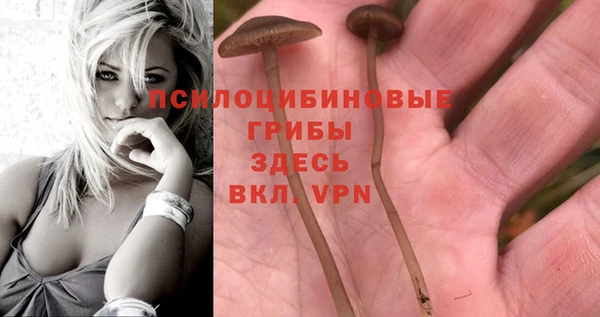 молекула духа Вязники