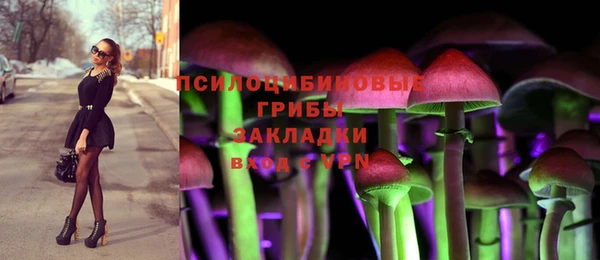МДПВ Нижний Тагил