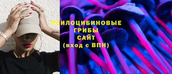 молекула духа Вязники