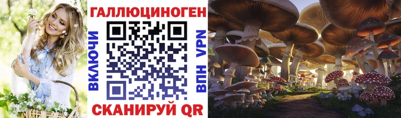 Галлюциногенные грибы Cubensis  нарко площадка телеграм  Дивногорск 
